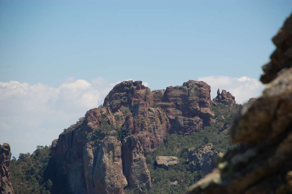 Large rocks in the distance.