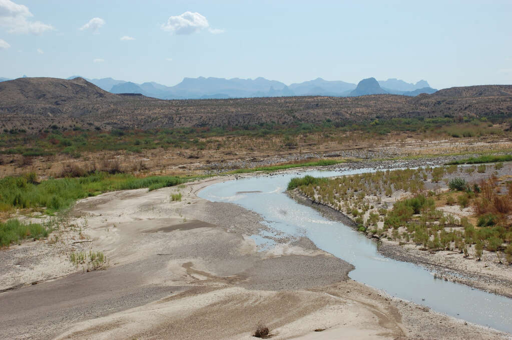 A stream surrounded by mostly flat, dry brush.