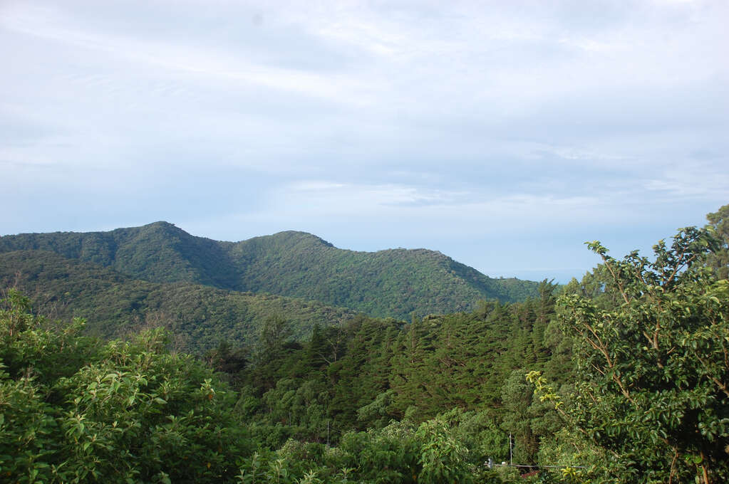 A view of trees and green hills in the distance.