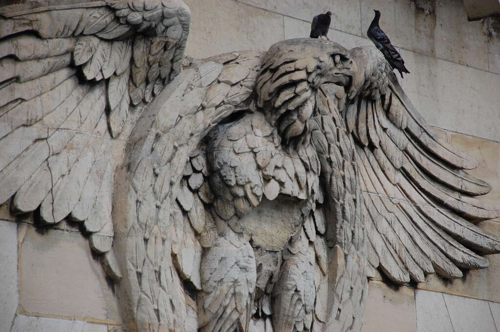 Two pigeons sitting on top of a statue of an eagle on a wall.