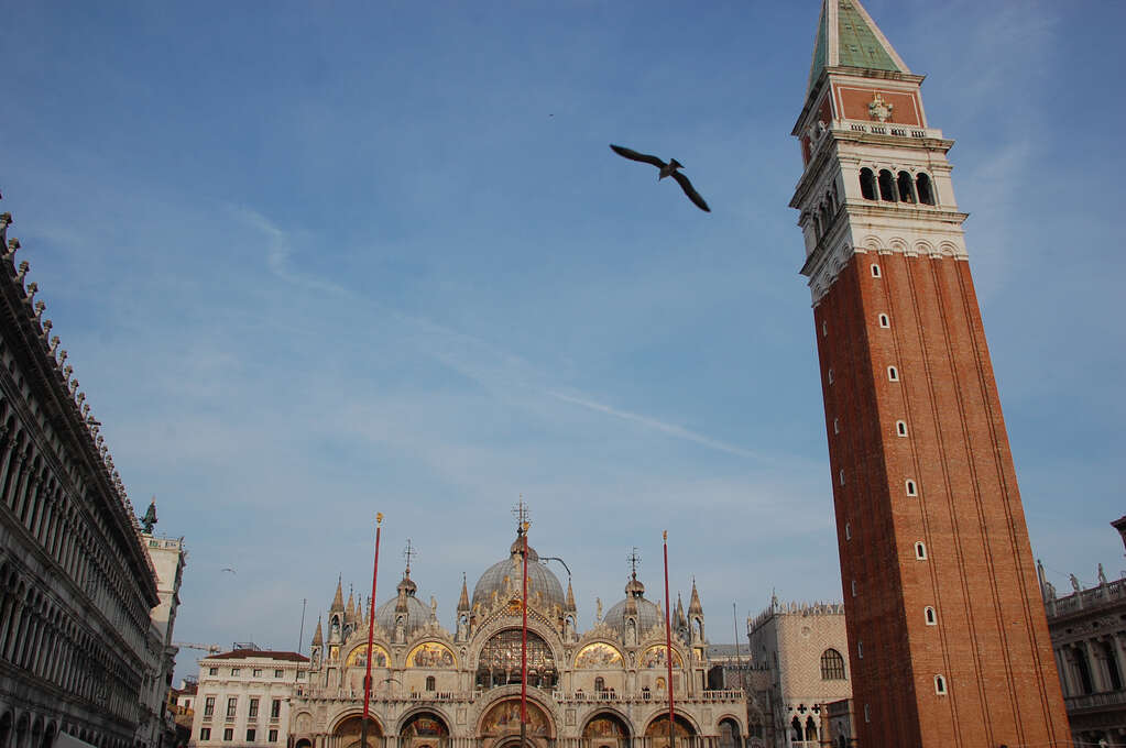 A square with a large clock tower on the right, a cathedral with several domes, spires, gold mosaics, and stained glass windows in the center, and a seagull flying above it.