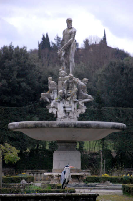 A large fountain with a statue of Neptune in the background and a bird standing on a ledge in the foreground.