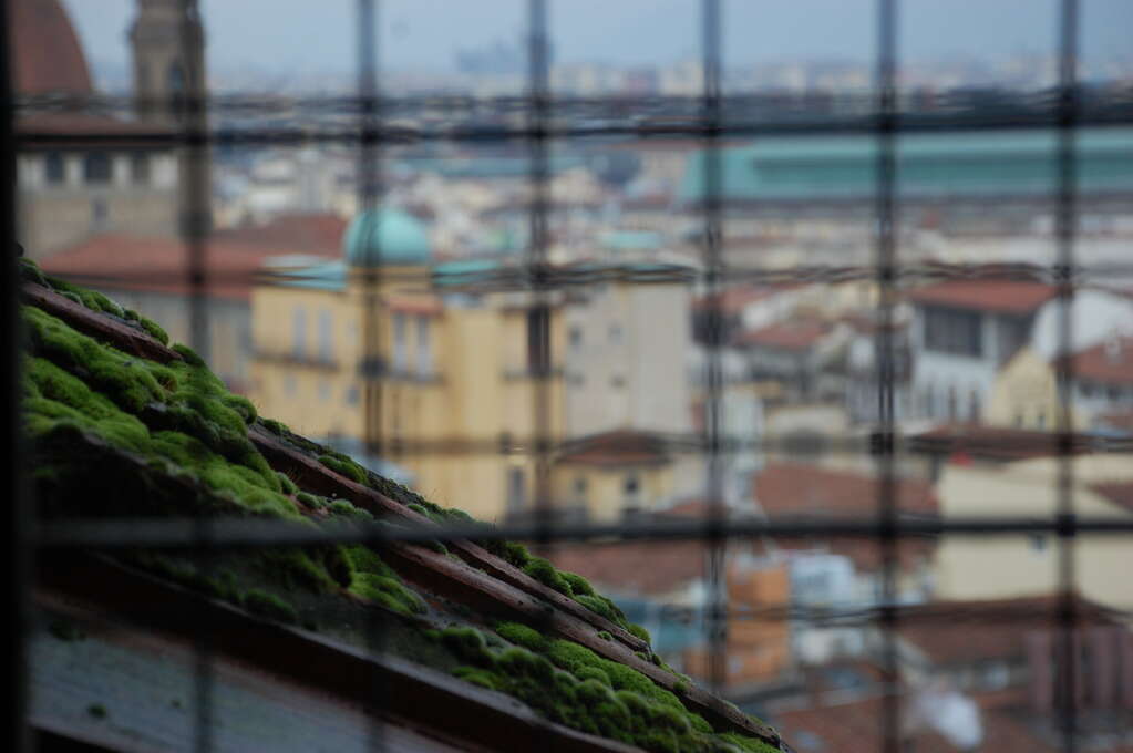 A view out a barred window of a mossy roof with a city below.