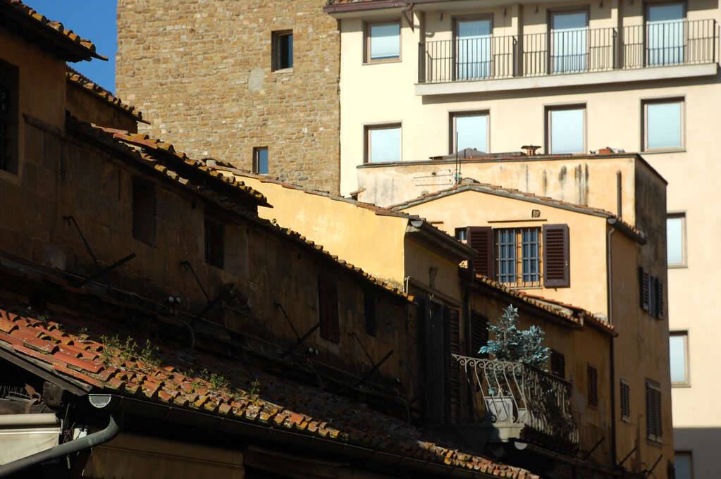 Shingle roofs and balconies with plants growing from the cracks.