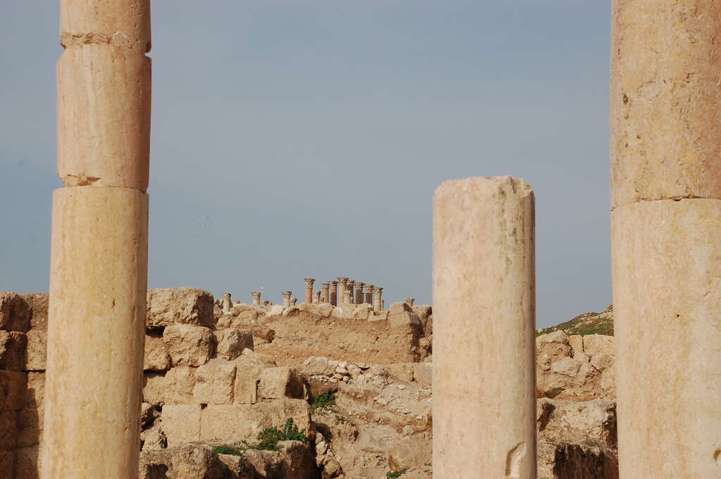 Ancient pillars in the foreground with many more in the distance.